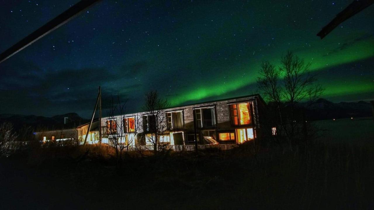 Risvaer Brygger Bed and Breakfast Digermulen Esterno foto