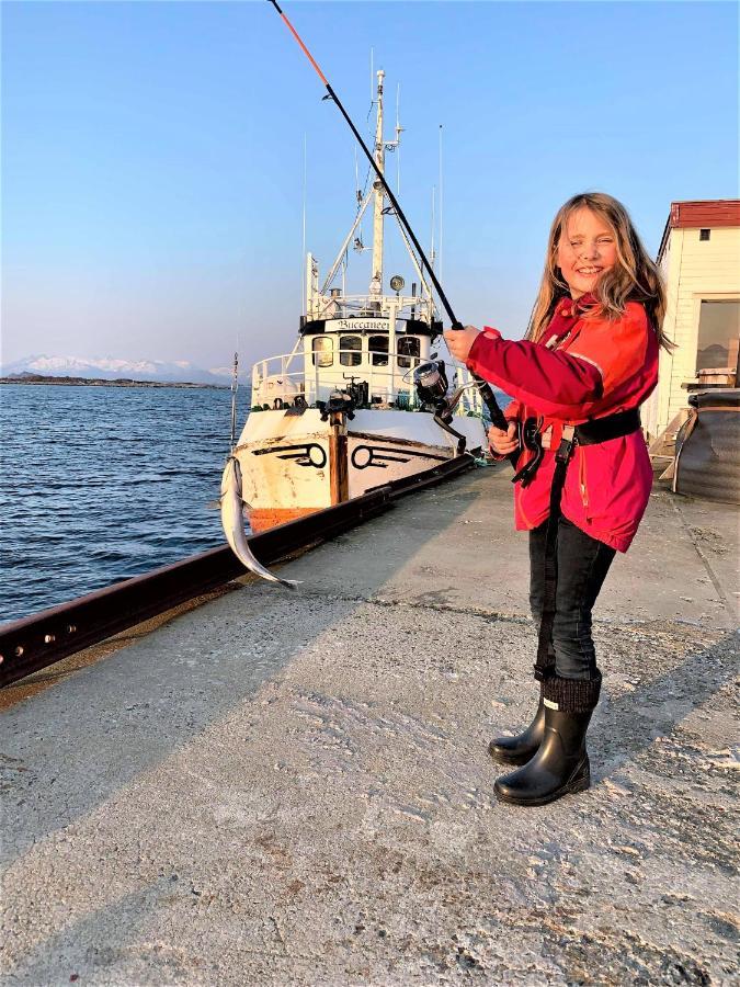 Risvaer Brygger Bed and Breakfast Digermulen Esterno foto
